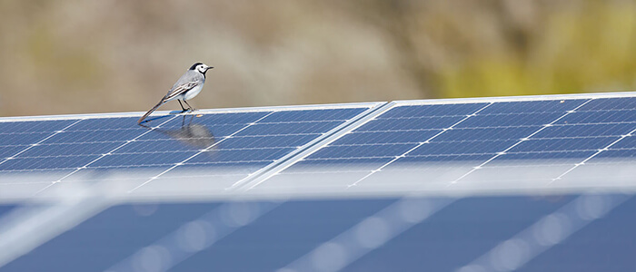 OUEST AM', Innovation & Recherche