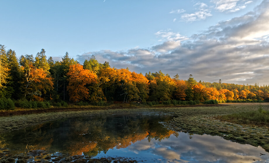 OUEST AM', Expertises eau & milieu naturel