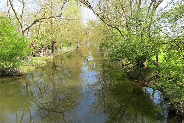 Ouest Am’ est un spécialiste du génie écologique