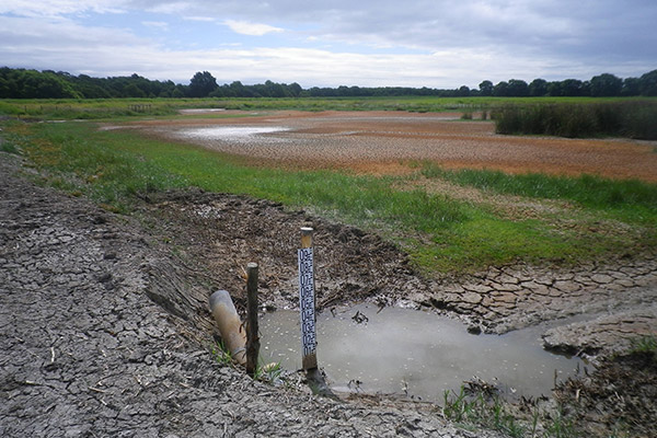 Ouest Am’ est un spécialiste du génie écologique 