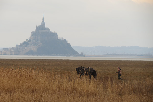 Ouest Am’ est un spécialiste du génie écologique 