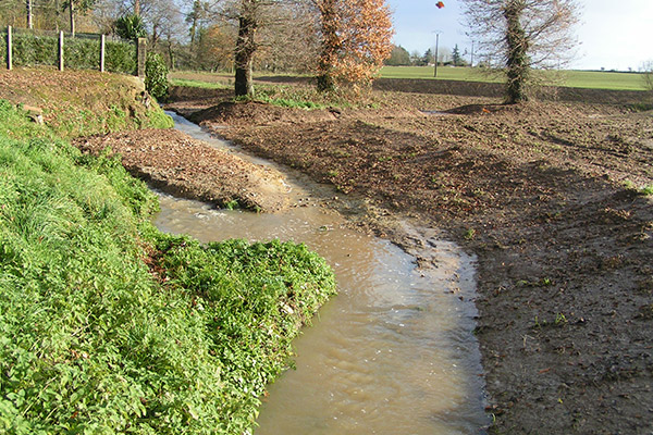 Ouest Am’ est un spécialiste du génie écologique 